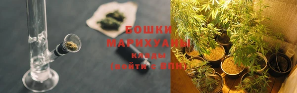 бутират Богородицк