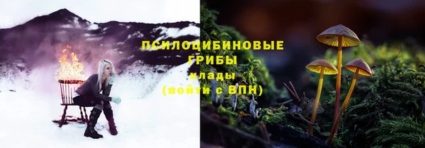 прущий лед Богданович