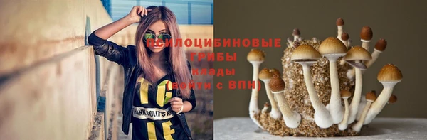 прущий лед Богданович