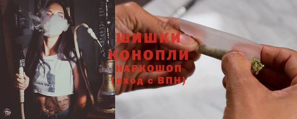 прущий лед Богданович