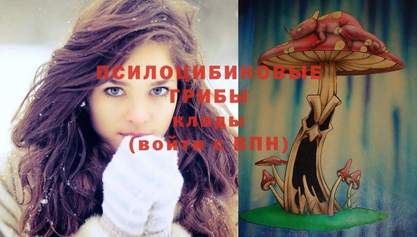 бутират Богородицк