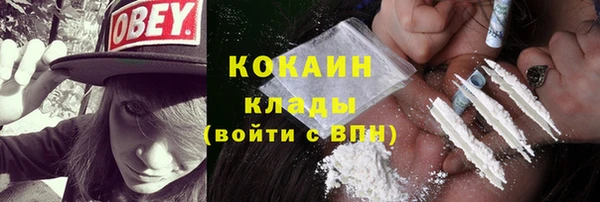 прущий лед Богданович
