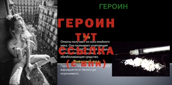 прущий лед Богданович