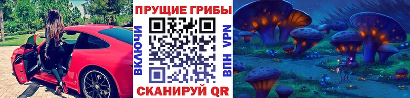 Купить закладки  Миньяр  Галлюциногенные грибы мицелий 